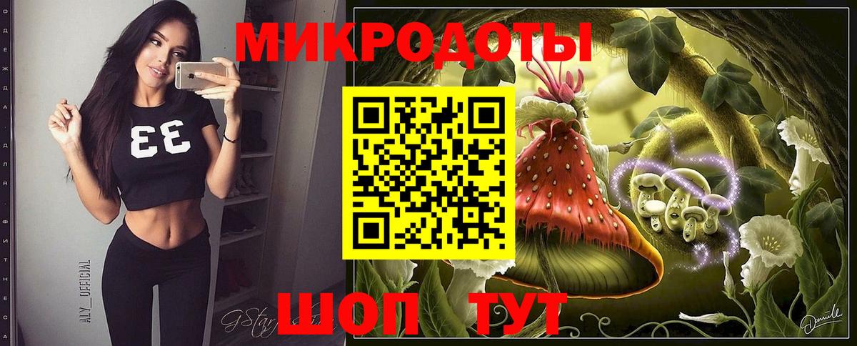 Псилоцибиновые грибы Psilocybine cubensis Набережные Челны