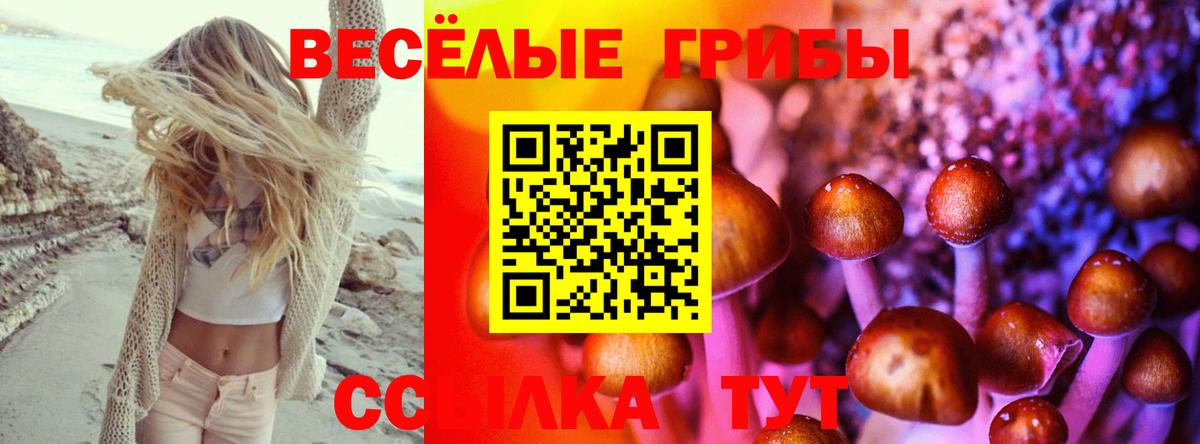 Галлюциногенные грибы Magic Shrooms  купить закладку  Набережные Челны  Вход с VPN 